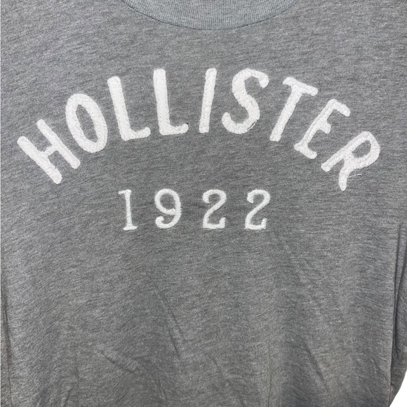 Hollister Mens Medium Gray Short Sleeve T Shirt, Size Medium - Picture 2 of 9